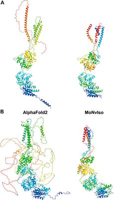 Modelling eNvironment for Isoforms (MoNvIso): A general platform to predict structural determinants of protein isoforms in genetic diseases